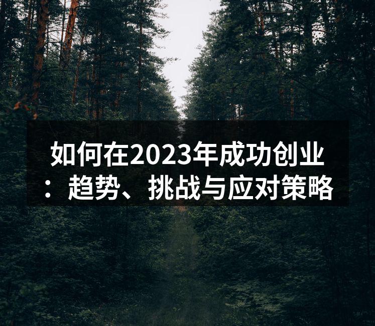 如何在2023年成功创业：趋势、挑战与应对策略